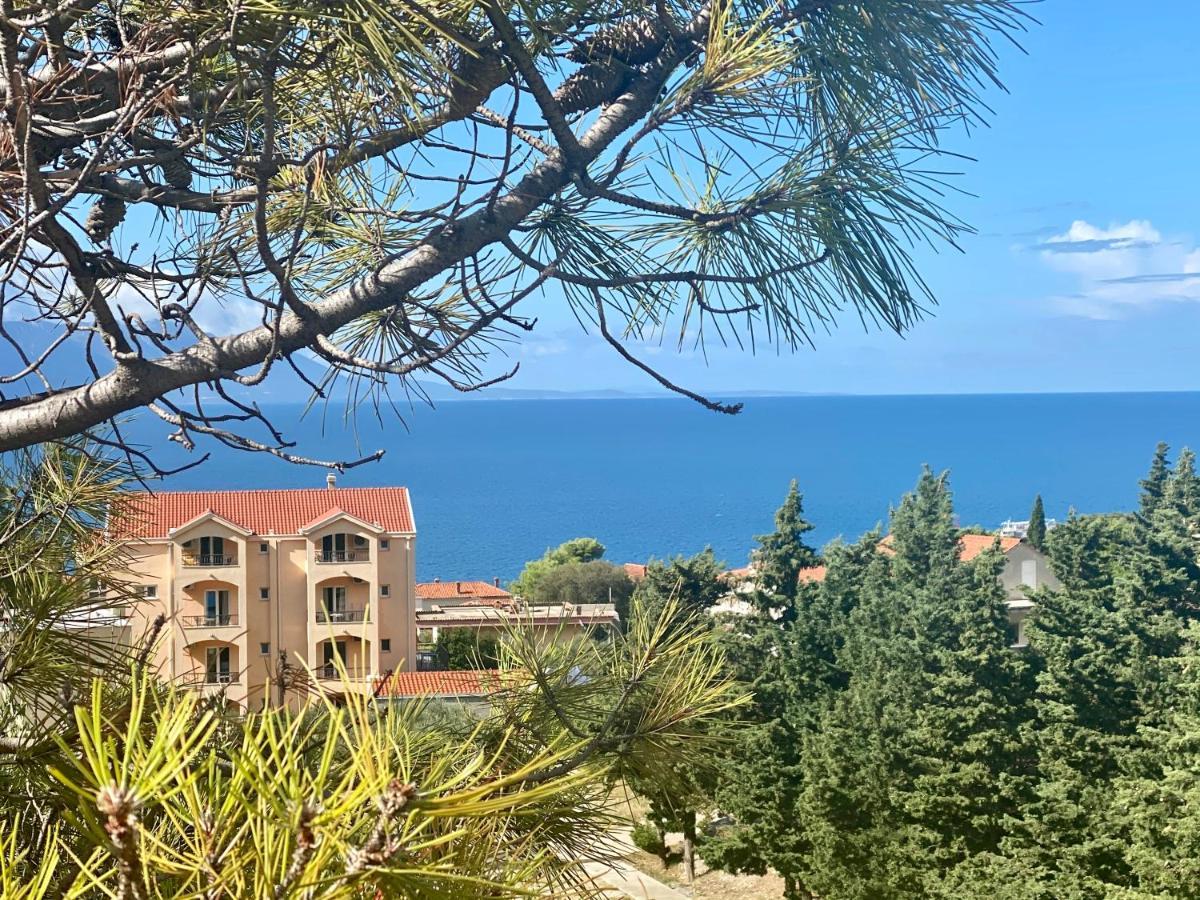 Apartments Grozdana Gradac  Bagian luar foto
